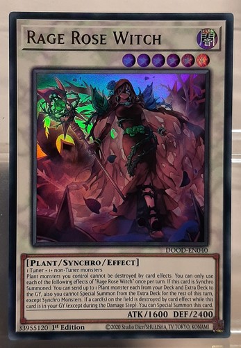 Rage rose witch - witch, /