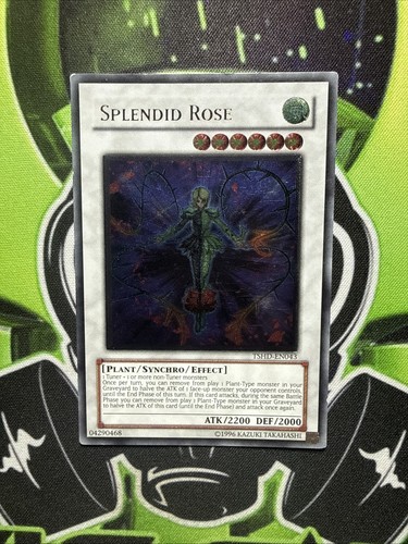 Splendid rose tshd en043 - rose, tshd-en043