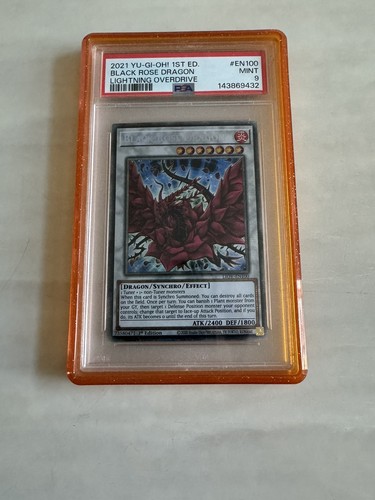 Black rose dragon - dragon, liov-en100
